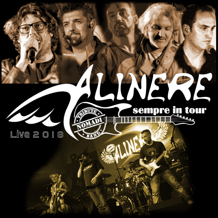 alinere 2018